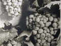 Bellissime immagini cartolina di Merano e dintorni- Viele wunderschoene Bilder von Meran und Umgebungen _85_.jpg