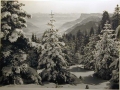 Bellissime immagini cartolina di Merano e dintorni- Viele wunderschoene Bilder von Meran und Umgebungen _93_.jpg