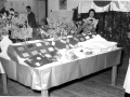 Giampieretti072