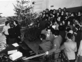 natale55