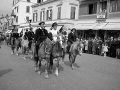 avelignesi-haflinger 1961009.jpg