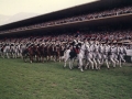 caroselloEquestreCarabinieri.jpg