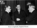 lions007.jpg