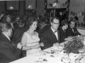 lions010.jpg