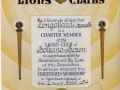 lions014.jpg