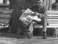 Lesestadt - Citt__ di lettura _59_.jpg