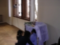 DSCN0240