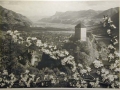 Bellissime immagini cartolina di Merano e dintorni- Viele wunderschoene Bilder von Meran und Umgebungen _73_.jpg